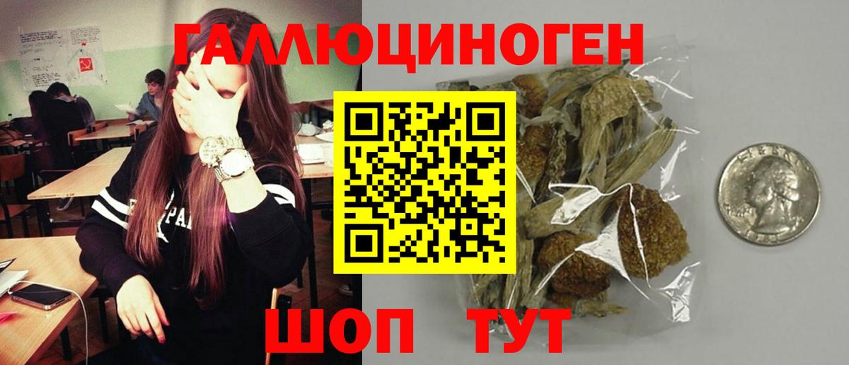 Псилоцибиновые грибы Psilocybe  Галлюциногенные грибы мухоморы  Приморско-Ахтарск  Вход с VPN 